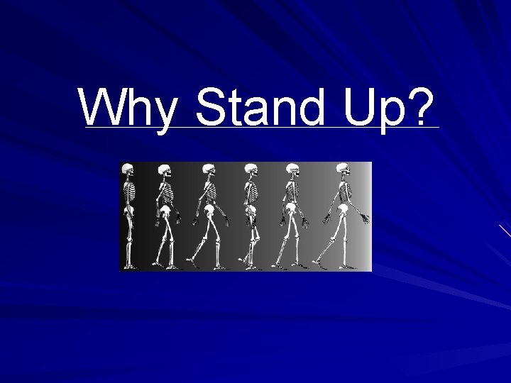 Why Stand Up? 