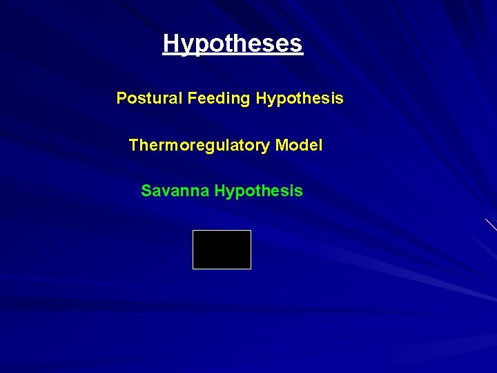 Hypotheses Postural Feeding Hypothesis Thermoregulatory Model Savanna Hypothesis 