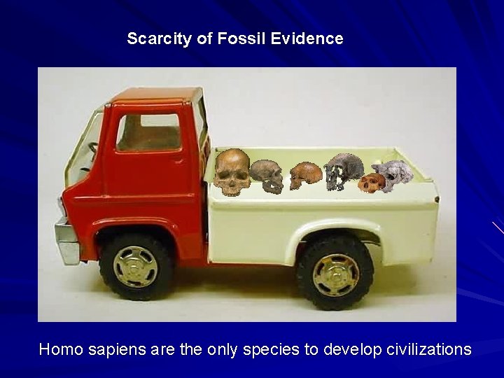 Scarcity of Fossil Evidence Homo sapiens are the only species to develop civilizations 