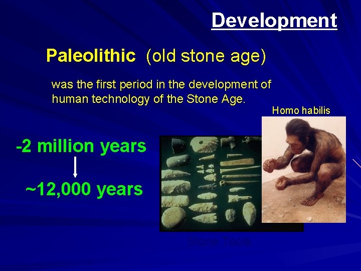 Development Paleolithic (old stone age) was the first period in the development of human