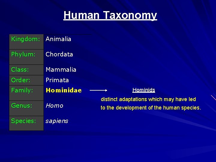 Human Taxonomy Kingdom: Animalia Phylum: Chordata Class: Mammalia Order: Primata Family: Hominidae Genus: Homo