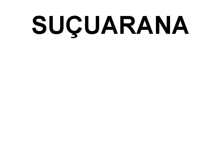 SUÇUARANA Língua e linguagem - Marcos Navarro 