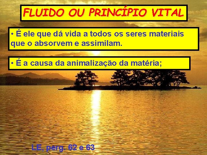 FLUIDO OU PRINCÍPIO VITAL • É ele que dá vida a todos os seres