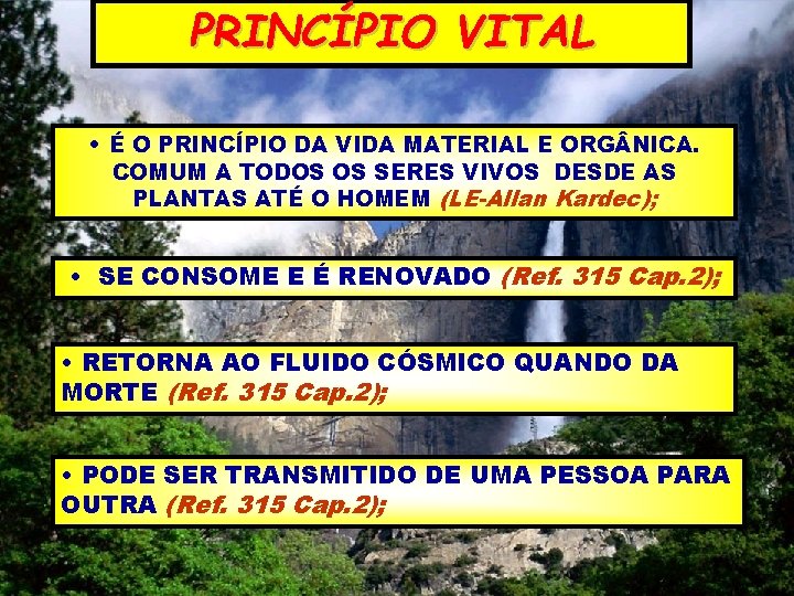 PRINCÍPIO VITAL • É O PRINCÍPIO DA VIDA MATERIAL E ORG NICA. COMUM A