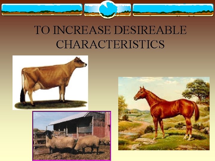 TO INCREASE DESIREABLE CHARACTERISTICS 