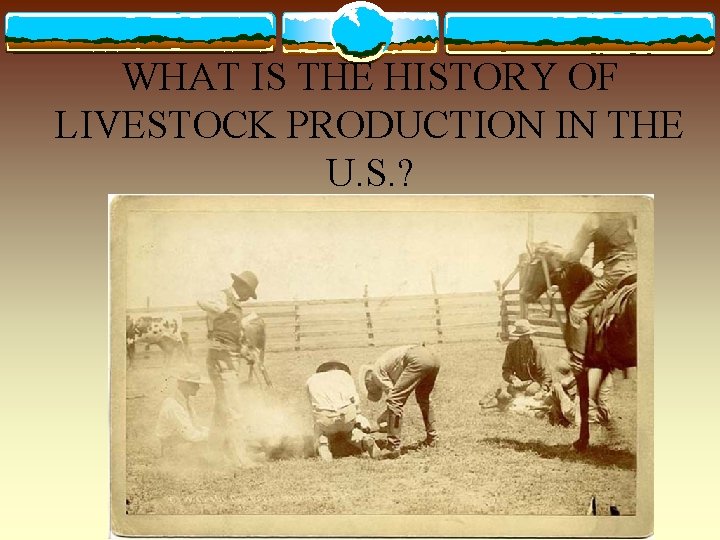 WHAT IS THE HISTORY OF LIVESTOCK PRODUCTION IN THE U. S. ? 