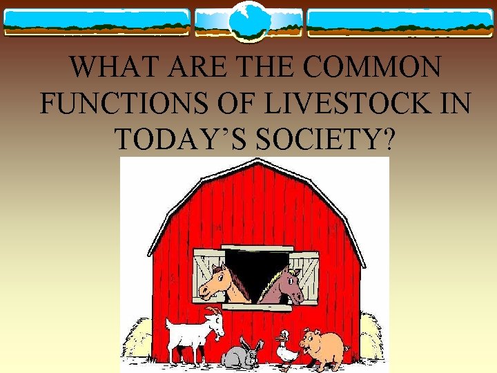 WHAT ARE THE COMMON FUNCTIONS OF LIVESTOCK IN TODAY’S SOCIETY? 