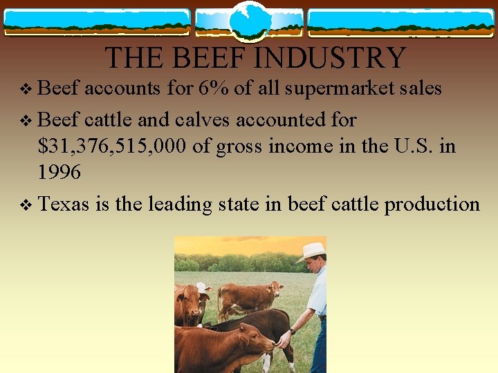 THE BEEF INDUSTRY v Beef accounts for 6% of all supermarket sales v Beef