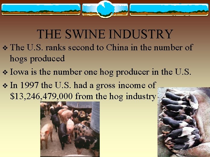 THE SWINE INDUSTRY v The U. S. ranks second to China in the number