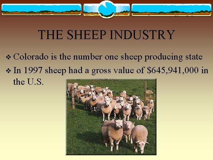 THE SHEEP INDUSTRY v Colorado is the number one sheep producing state v In