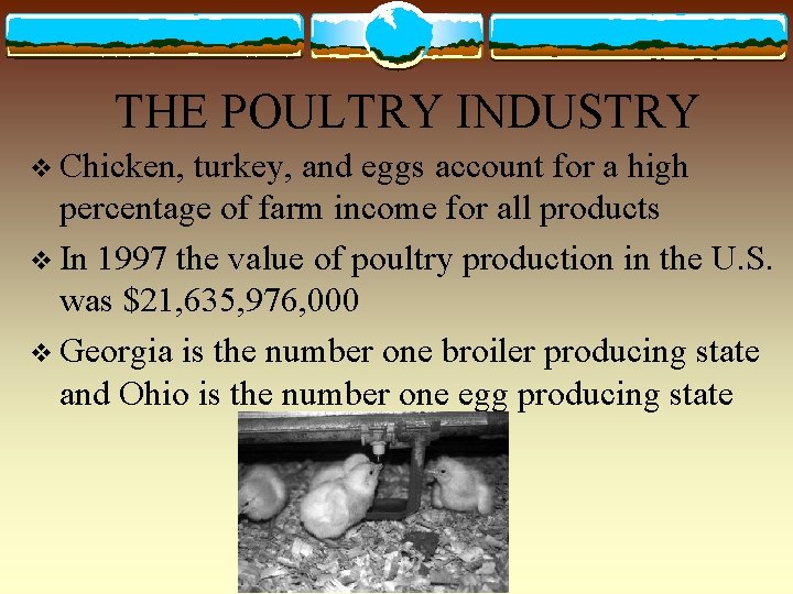 THE POULTRY INDUSTRY v Chicken, turkey, and eggs account for a high percentage of