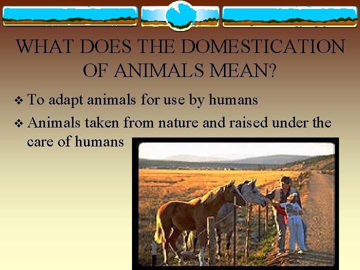 WHAT DOES THE DOMESTICATION OF ANIMALS MEAN? v To adapt animals for use by