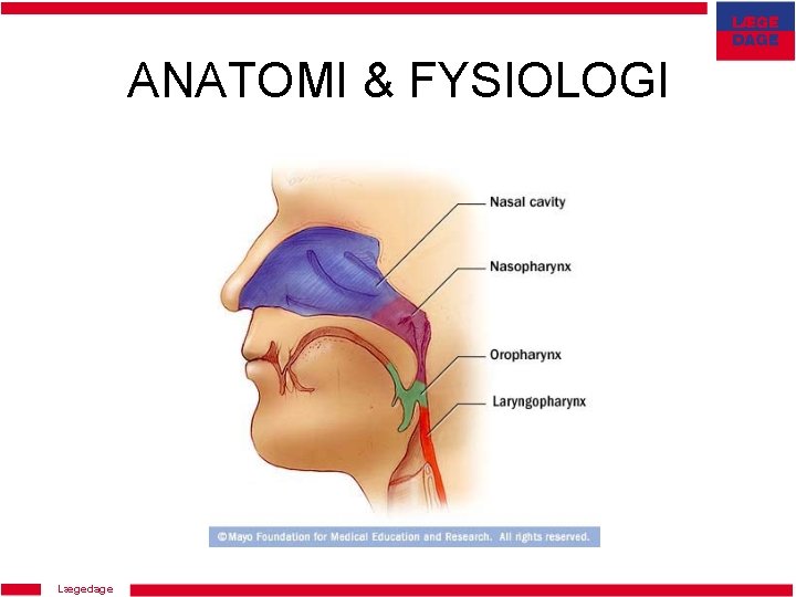 ANATOMI & FYSIOLOGI Lægedage 