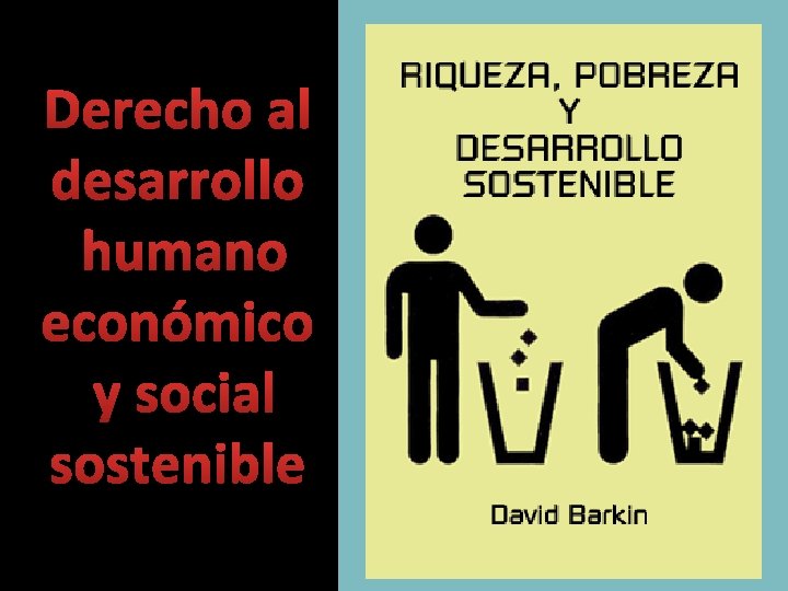 Derecho al desarrollo humano económico y social sostenible 