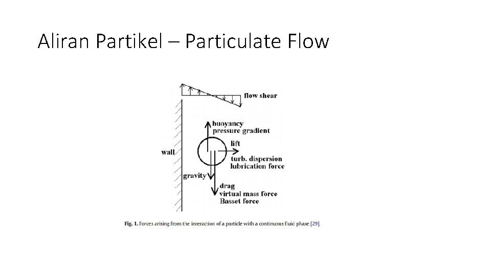 Aliran Partikel – Particulate Flow 