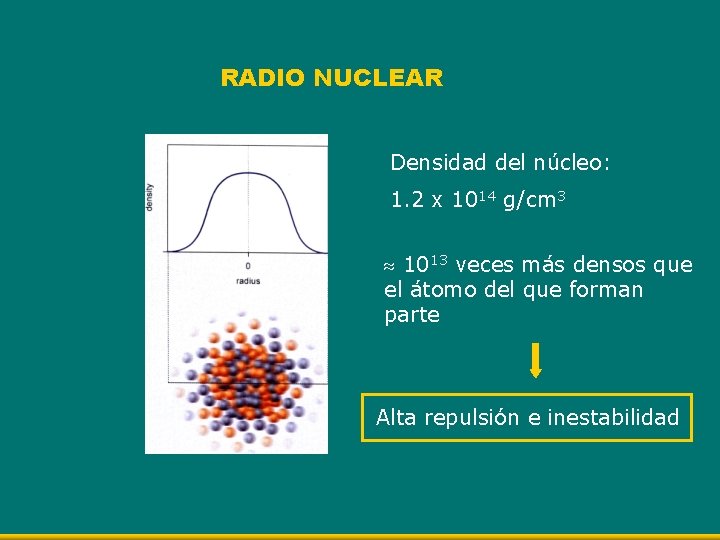 RADIO NUCLEAR Densidad del núcleo: 1. 2 x 1014 g/cm 3 1013 veces más