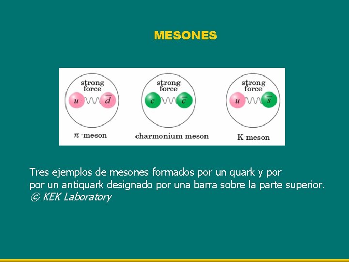 MESONES Tres ejemplos de mesones formados por un quark y por un antiquark designado
