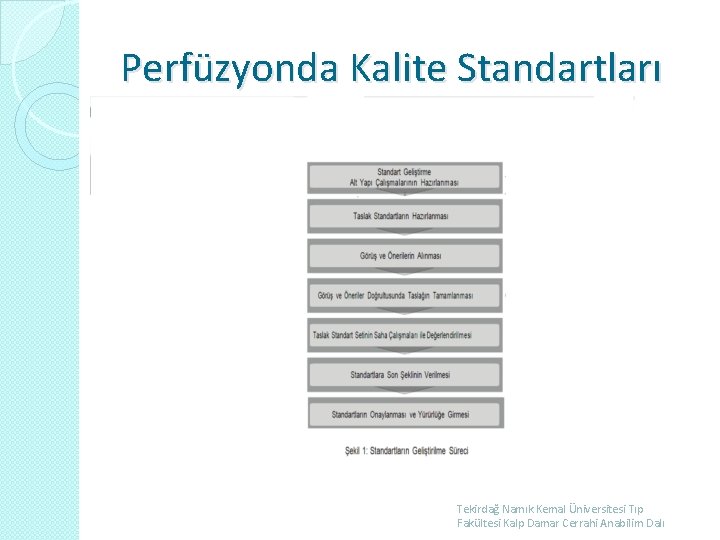 Perfüzyonda Kalite Standartları Tekirdağ Namık Kemal Üniversitesi Tıp Fakültesi Kalp Damar Cerrahi Anabilim Dalı