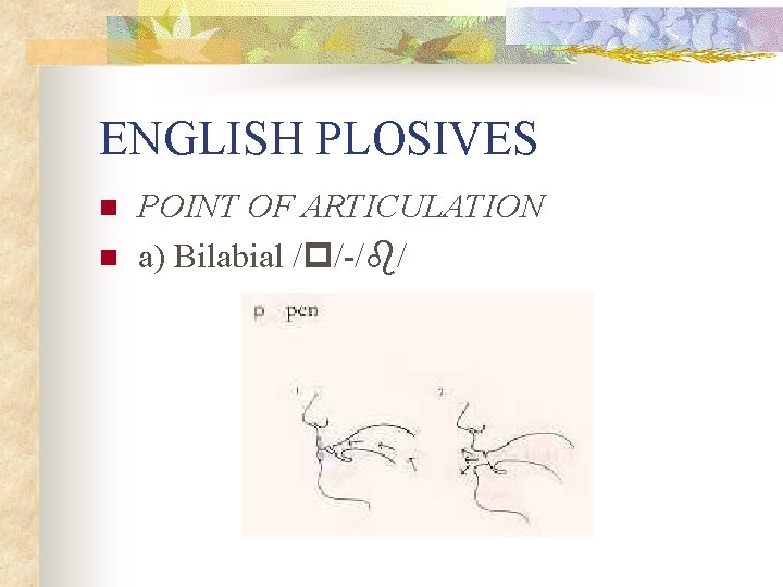 ENGLISH PLOSIVES n n POINT OF ARTICULATION a) Bilabial /p/-/b/ 