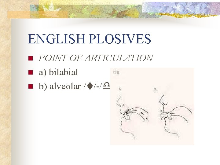 ENGLISH PLOSIVES n n n POINT OF ARTICULATION a) bilabial b) alveolar /t/-/d/ 