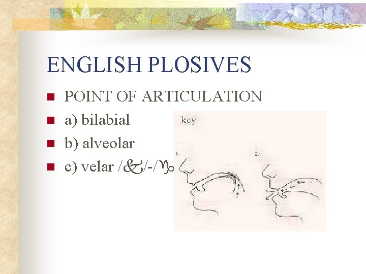 ENGLISH PLOSIVES n n POINT OF ARTICULATION a) bilabial b) alveolar c) velar /k/-/g/