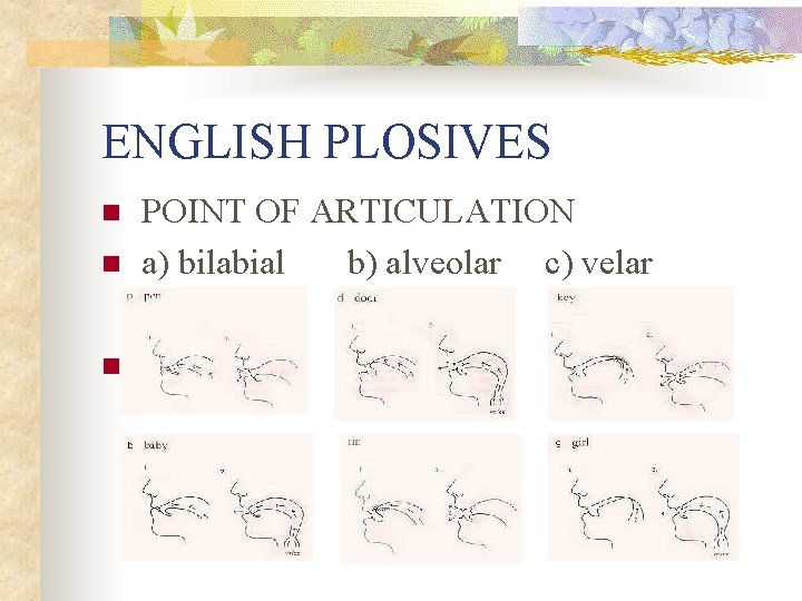 ENGLISH PLOSIVES n n n POINT OF ARTICULATION a) bilabial b) alveolar c) velar