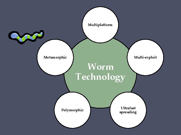 Multiplatform Metamorphic Multi-exploit Worm Technology Polymorphic Ultrafast spreading 