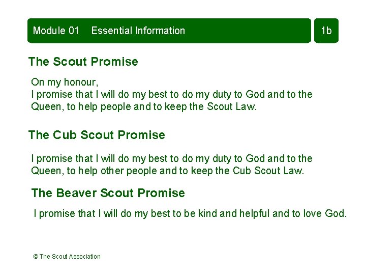 Module 01 Essential Information 1 b The Scout Promise On my honour, I promise Module 01 Essential Information 1 b The Scout Promise On my honour, I promise