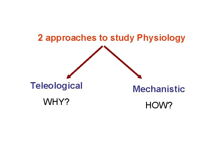 2 approaches to study Physiology Teleological Mechanistic WHY? HOW? 