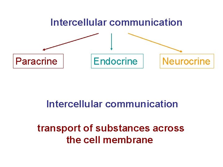 Intercellular communication Paracrine Endocrine Neurocrine Intercellular communication transport of substances across the cell membrane