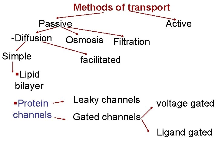 Methods of transport Passive -Diffusion Osmosis Filtration Simple Active facilitated §Lipid bilayer §Protein channels