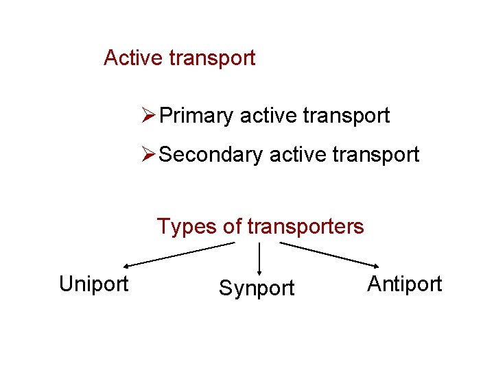 Active transport ØPrimary active transport ØSecondary active transport Types of transporters Uniport Synport Antiport