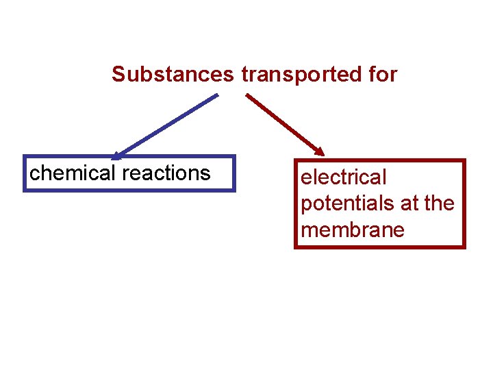 Substances transported for chemical reactions electrical potentials at the membrane 