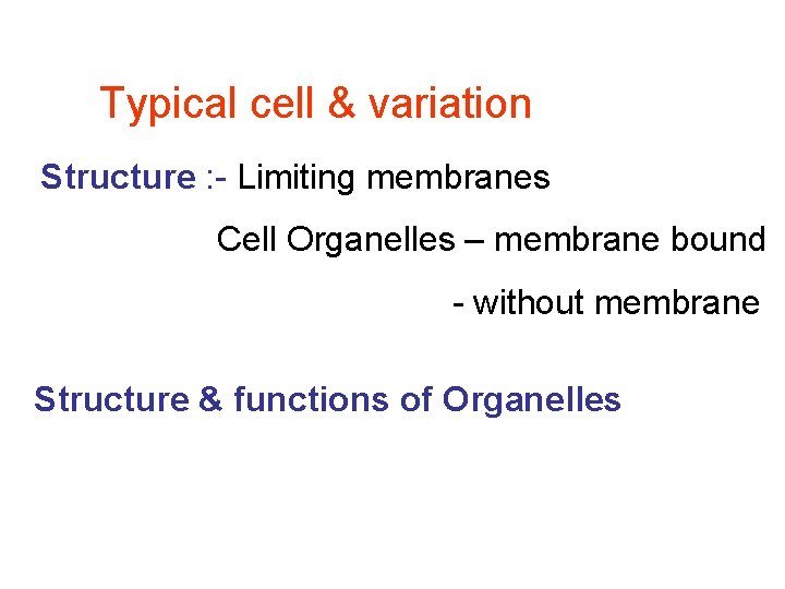 Typical cell & variation Structure : - Limiting membranes Cell Organelles – membrane bound