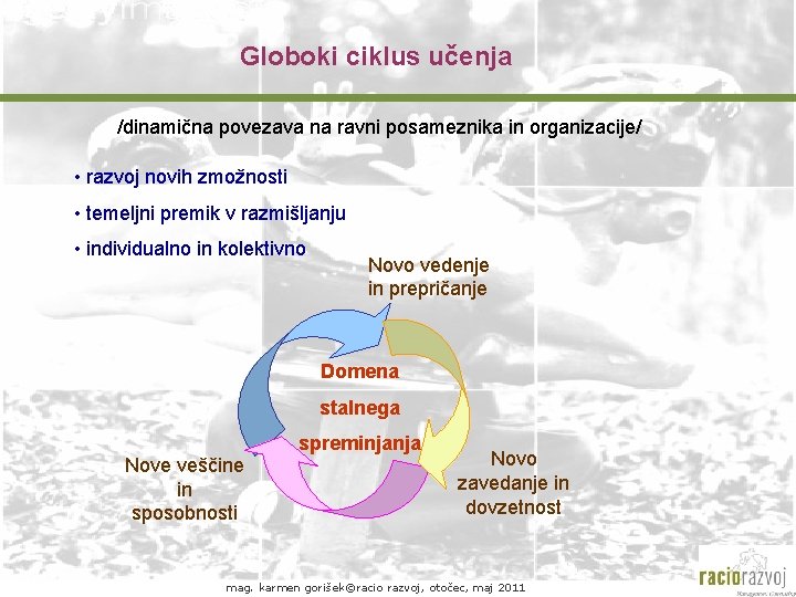 Globoki ciklus učenja /dinamična povezava na ravni posameznika in organizacije/ • razvoj novih zmožnosti