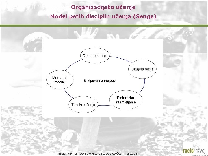 Organizacijsko učenje Model petih disciplin učenja (Senge) mag. karmen gorišek©racio razvoj, otočec, maj 2011 Organizacijsko učenje Model petih disciplin učenja (Senge) mag. karmen gorišek©racio razvoj, otočec, maj 2011