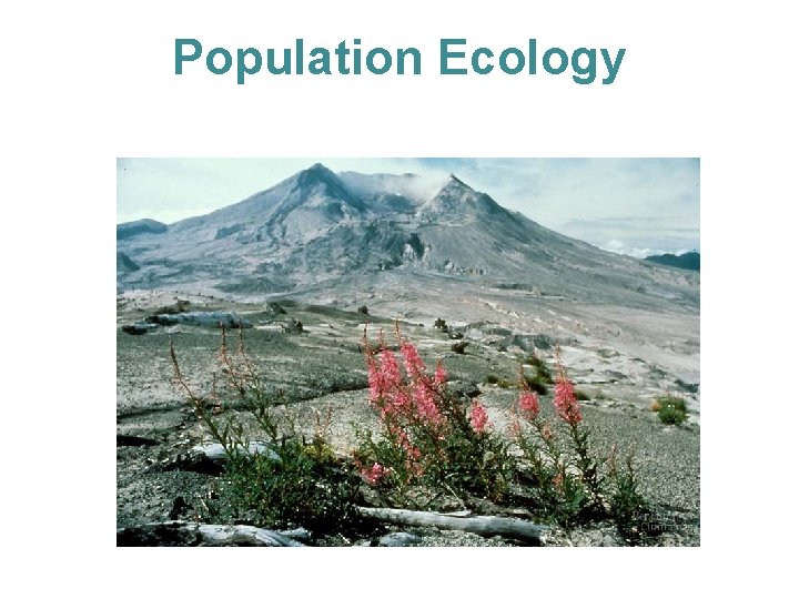 Population Ecology Population Ecology