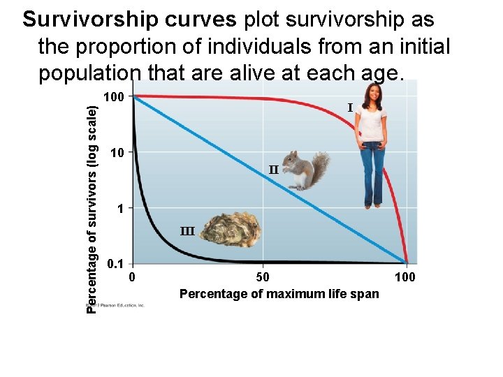 Survivorship curves plot survivorship as the proportion of individuals from an initial population that Survivorship curves plot survivorship as the proportion of individuals from an initial population that