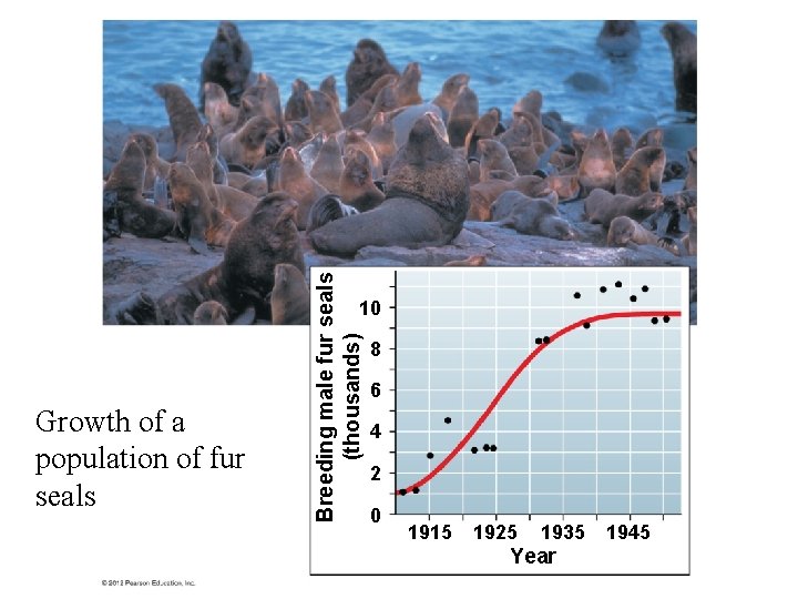 Breeding male fur seals (thousands) 10 Growth of a population of fur seals 8 Breeding male fur seals (thousands) 10 Growth of a population of fur seals 8