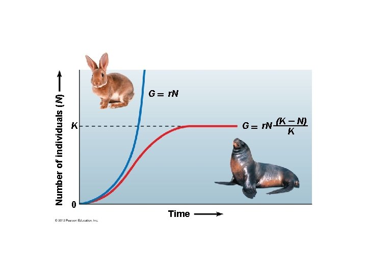 Number of individuals (N) G r. N K 0 G Time (K N) r. Number of individuals (N) G r. N K 0 G Time (K N) r.