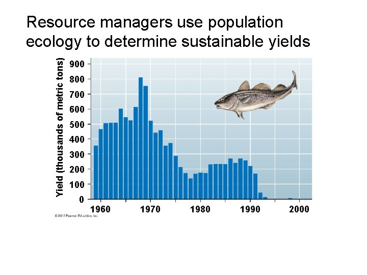 Yield (thousands of metric tons) Resource managers use population ecology to determine sustainable yields Yield (thousands of metric tons) Resource managers use population ecology to determine sustainable yields