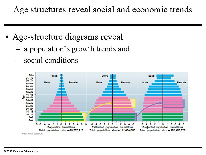 Age structures reveal social and economic trends • Age-structure diagrams reveal – a population’s Age structures reveal social and economic trends • Age-structure diagrams reveal – a population’s