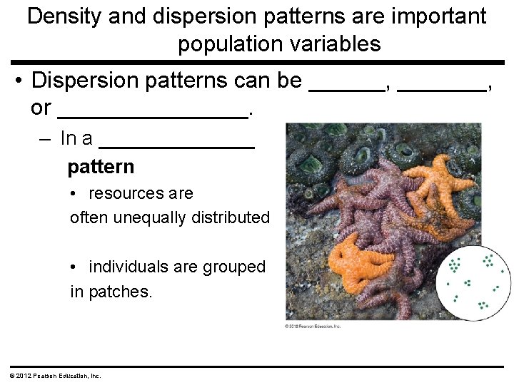 Density and dispersion patterns are important population variables • Dispersion patterns can be ______, Density and dispersion patterns are important population variables • Dispersion patterns can be ______,