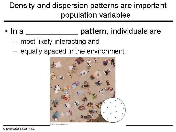 Density and dispersion patterns are important population variables • In a ______ pattern, individuals Density and dispersion patterns are important population variables • In a ______ pattern, individuals