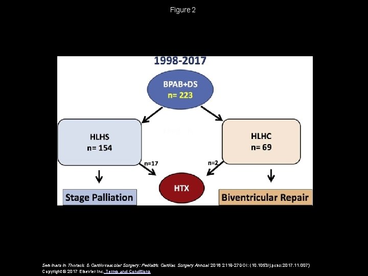 Figure 2 Seminars in Thoracic & Cardiovascular Surgery: Pediatric Cardiac Surgery Annual 2018 2119 -27 Figure 2 Seminars in Thoracic & Cardiovascular Surgery: Pediatric Cardiac Surgery Annual 2018 2119 -27