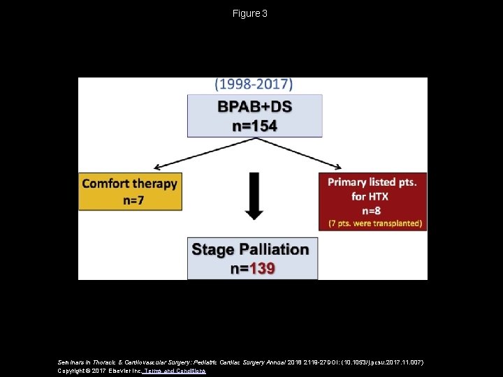 Figure 3 Seminars in Thoracic & Cardiovascular Surgery: Pediatric Cardiac Surgery Annual 2018 2119 -27 Figure 3 Seminars in Thoracic & Cardiovascular Surgery: Pediatric Cardiac Surgery Annual 2018 2119 -27