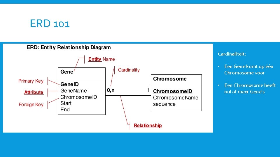 ERD 101 Cardinaliteit: • Een Gene komt op één Chromosome voor • Een Chromosome