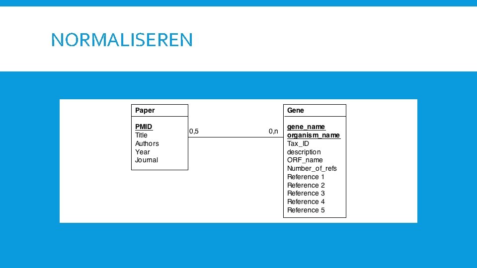 NORMALISEREN 