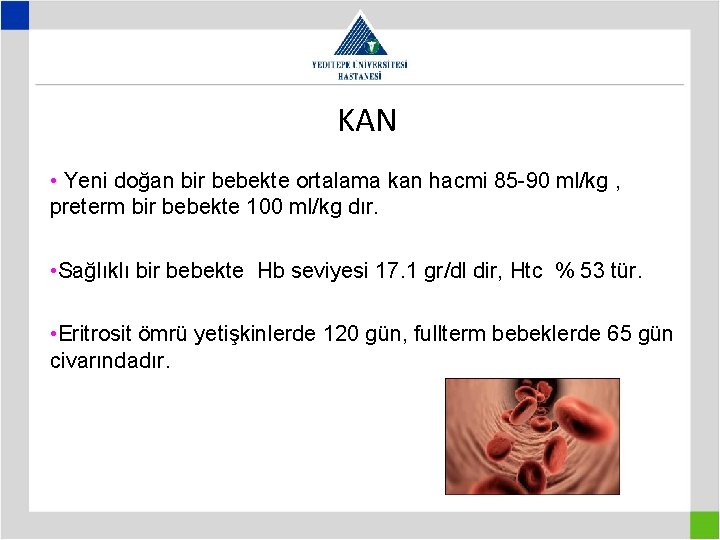 KAN • Yeni doğan bir bebekte ortalama kan hacmi 85 -90 ml/kg , preterm