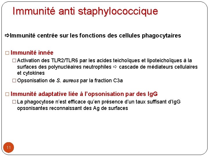 Immunité anti staphylococcique Immunité centrée sur les fonctions des cellules phagocytaires � Immunité innée